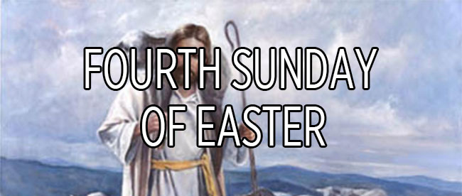 4th Sunday Of Easter Liturgical Bible Study